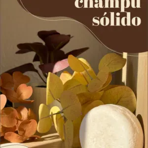 Ebook