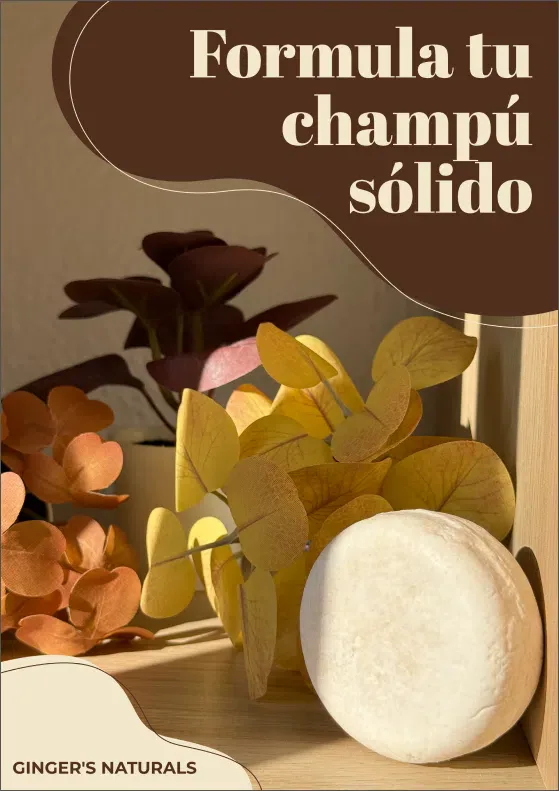 Ebook
